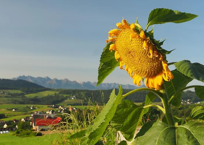 Chalet Loft&hill Grywald